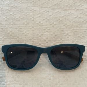 Nautical n6213s polarized sunglasses blue and brown frame